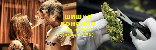 гашик Балахна