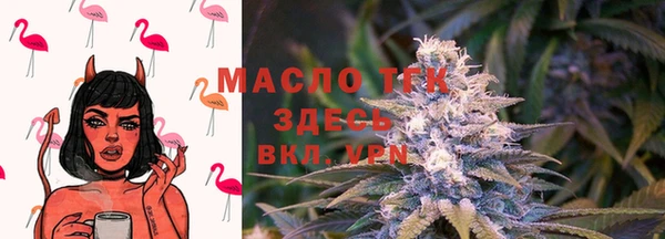 гашик Балахна